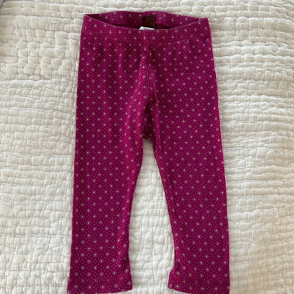 Fuschia Tea Leggings 18-24mo